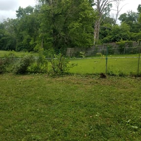 Bush Trimming by Mow and Maintenance reviewed on August 17, 2025