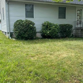 Bush Trimming by R&G Lawn care reviewed on August 19, 2025