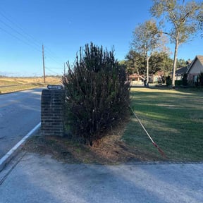 Bush Trimming by Green River Landscape, LLC reviewed on June 3, 2022