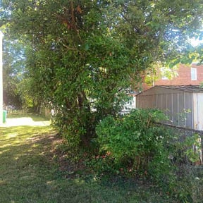 Bush Trimming by Breezeway Express LLC reviewed on May 16, 2026
