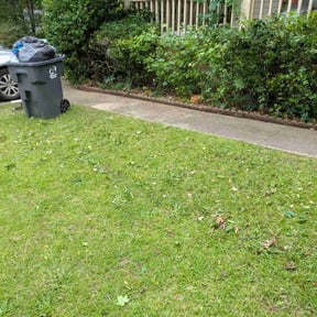 Bush Trimming by Home Grown Mowing reviewed on August 18, 2025