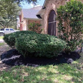 Mulching by Lawn and Property reviewed on August 15, 2025
