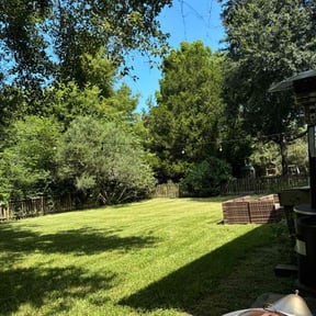 grass cutting by Hunter&#039;s Green Lawn Care reviewed on April 23, 2024