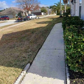 Bush Trimming by Stephen's Lawncare reviewed on January 26, 2026