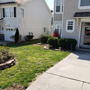 Bush Trimming by Lawn Landing Services LLC reviewed on August 15, 2025