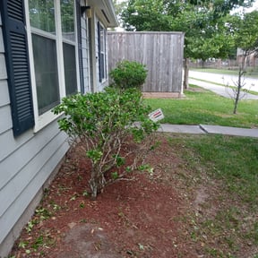 Bush Trimming by Lindsey&#039;s Lawn Service reviewed on December 23, 2023