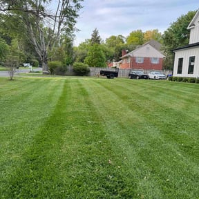 yard care by Quick Cut Lawn Care reviewed on January 19, 2026