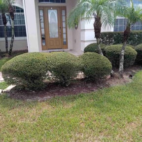 Bush Trimming by Michael's Superior Lawn Service reviewed on August 20, 2025