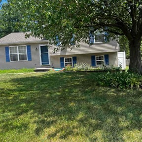 turf care by Billy Stone reviewed on September 5, 2024