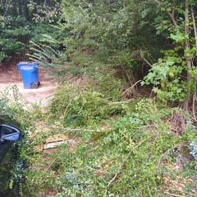 Bush Trimming by Cascadia Landscaping reviewed on August 17, 2025
