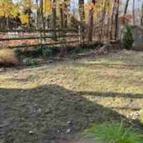 Leaf Removal by Dem Mowers reviewed on September 17, 2025