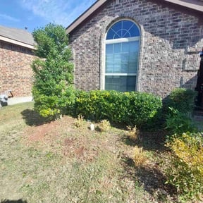 Bush Trimming by A-1 Affordable Lawn Care reviewed on August 19, 2025
