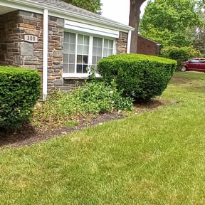 Bush Trimming by Mid-Atlantic Home Maintenance reviewed on August 15, 2025