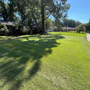 residential landscaping by J&J property management reviewed on August 21, 2025