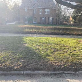 Leaf Removal by Proppa prop lawn care reviewed on August 17, 2025