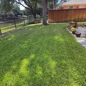 gardening service by JT Lawn & Shrub reviewed on August 16, 2025