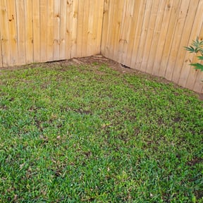 Leaf Removal by Pro Cut Lawns LLC reviewed on September 10, 2025