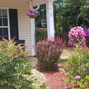 Bush Trimming by Hugo Lopez Landscaping reviewed on August 18, 2025