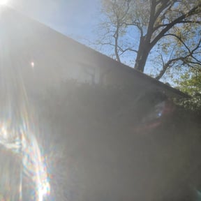 Bush Trimming by JP Landscape reviewed on August 19, 2025