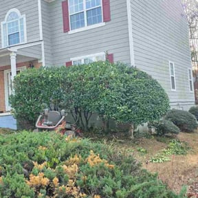 Bush Trimming by WM Pro Lawn Services LLC. reviewed on December 14, 2025