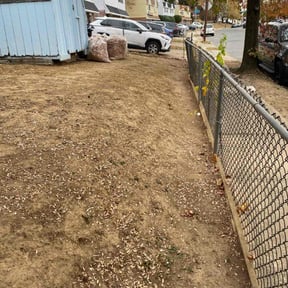 Leaf Removal by No Mow Worries Lawn Care reviewed on September 29, 2025