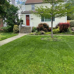 lawn care services by Qs quality landscape reviewed on August 19, 2025