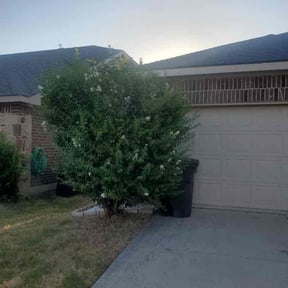 Bush Trimming by Midplains Properties LLC reviewed on August 21, 2025
