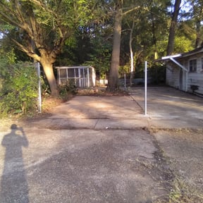 Leaf Removal by Keep it green reviewed on September 14, 2025