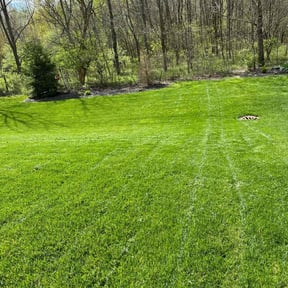 yard care by T&M Lawn Services reviewed on August 19, 2025