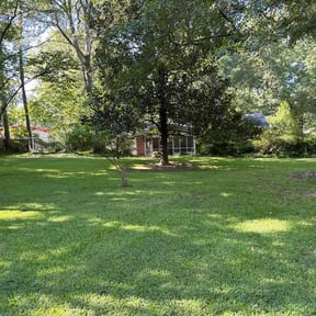 landscaping by Live landscaping reviewed on August 15, 2025