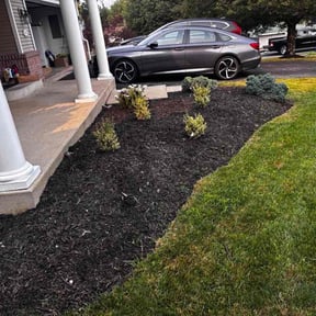 Flower Bed Weeding by Flipmodedreadhead reviewed on July 27, 2026
