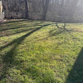 Leaf Removal by DMX Lawn &amp; Landscape reviewed on October 3, 2025