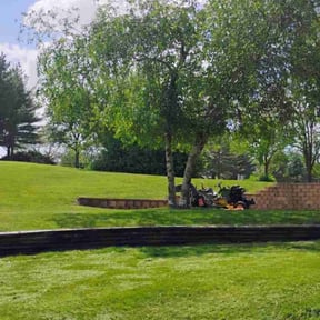 turf care by M &amp; F Landscaping Services LLC reviewed on August 20, 2025