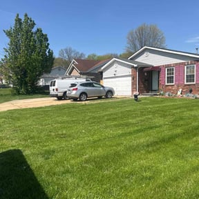 yard maintenance by Planet one landscape & Lawncare, LLC reviewed on August 18, 2025