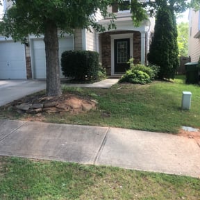 Bush Trimming by Elston Lawn Care reviewed on August 16, 2025