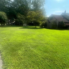 lawn maintenance by Mike’s mowing and property maintenance reviewed on May 7, 2024