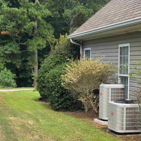 Bush Trimming by Little Landscaping reviewed on October 22, 2025