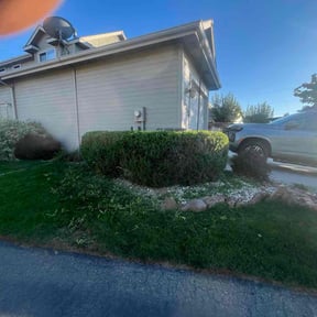 Bush Trimming by 1st Priority Landscape &amp; Tree Service Inc reviewed on October 19, 2025