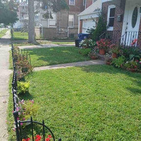 yard maintenance by Cut-n-Go lawn maintenance reviewed on August 17, 2025