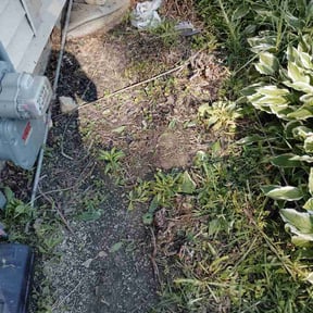 Flower Bed Weeding by Malloy &amp; Malloy Landscaping LLC reviewed on May 16, 2026