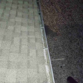 Leaf Removal by The Green Team Lawn and Maintenance  reviewed on October 20, 2025