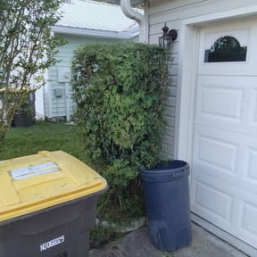 Bush Trimming by Jocygems lawn mowing reviewed on August 20, 2025