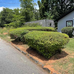 Bush Trimming by C & T Lawn Service reviewed on August 15, 2025