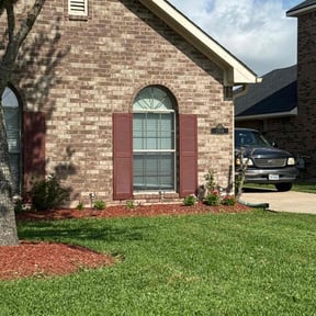 yard service by Joe Molinaro reviewed on April 26, 2022