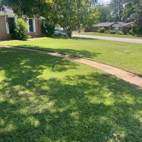yard care by Felo pride lawn service reviewed on August 18, 2025