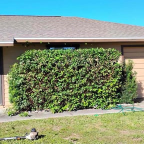Bush Trimming by RTH Lawn Service &amp; Landscaping LLC reviewed on March 27, 2024