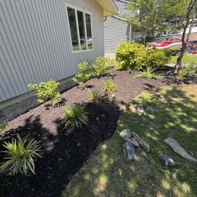 Mulching by DLAWN SERVICE LLC reviewed on May 29, 2026