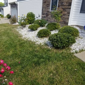 Bush Trimming by Jacob Gifford/Lawn Service LLC reviewed on August 16, 2025