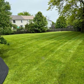 yard work by Owen Lawn Service reviewed on October 22, 2025