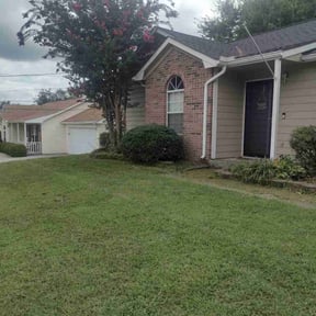 Bush Trimming by Caplan&#039;s Landscaping reviewed on November 24, 2025